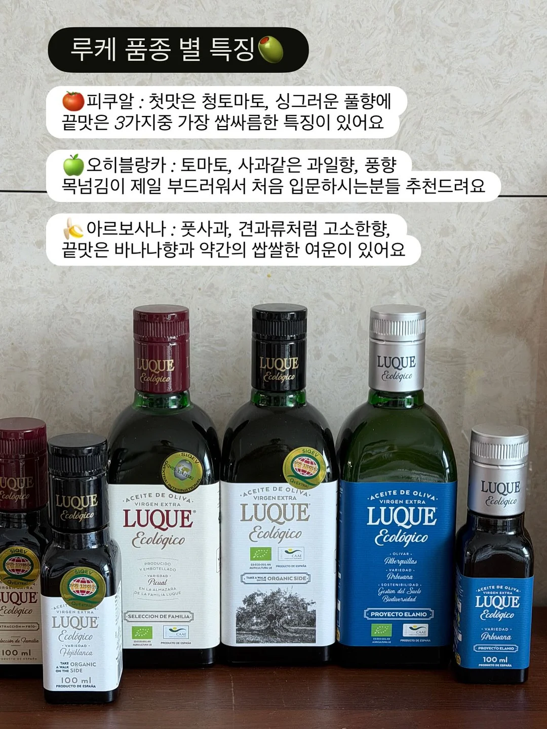 스펀지밥 비키니시티 랜덤 마그넷 2