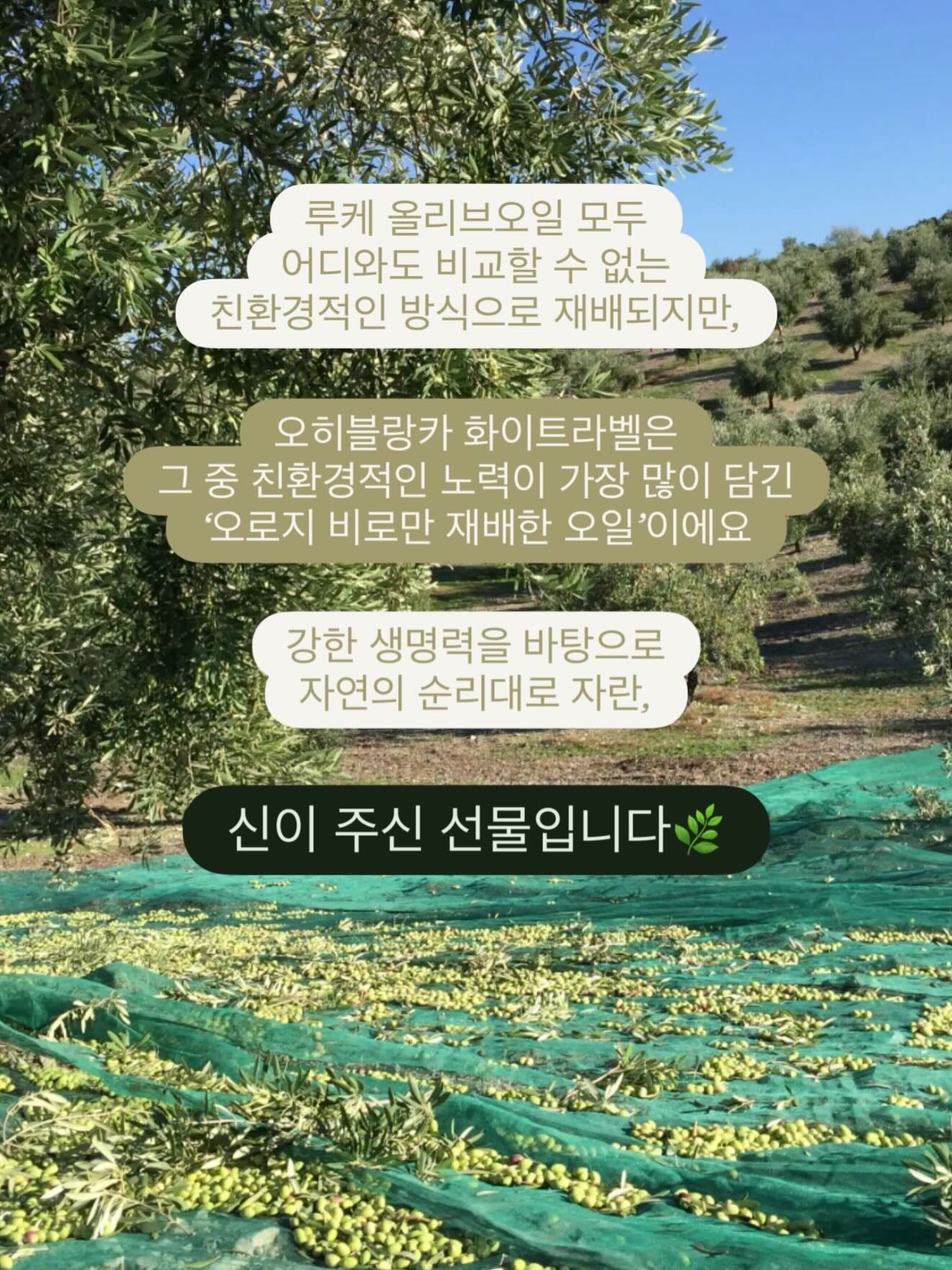 스펀지밥 비키니시티 랜덤 마그넷 5