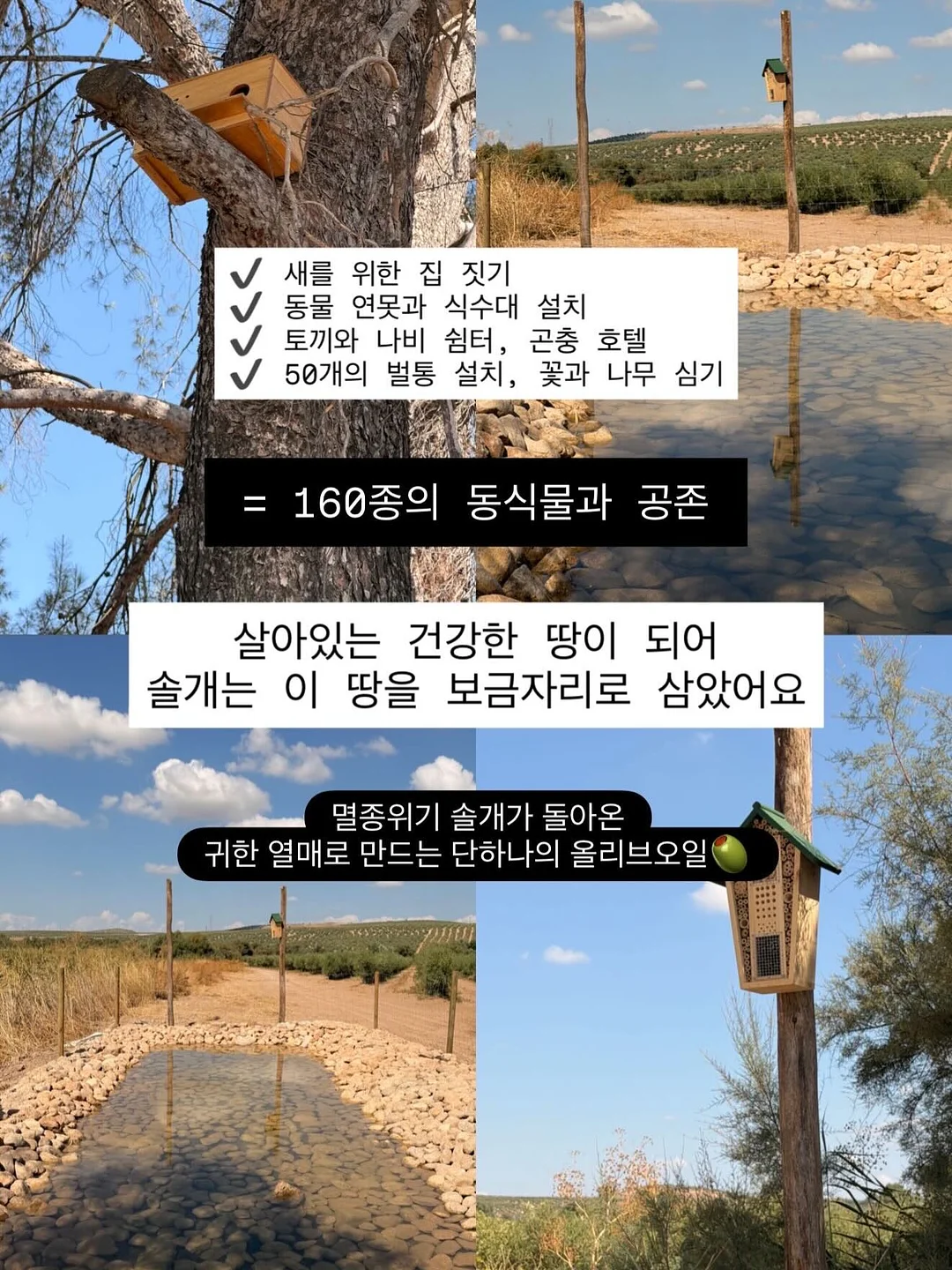 스펀지밥 비키니시티 랜덤 마그넷 10
