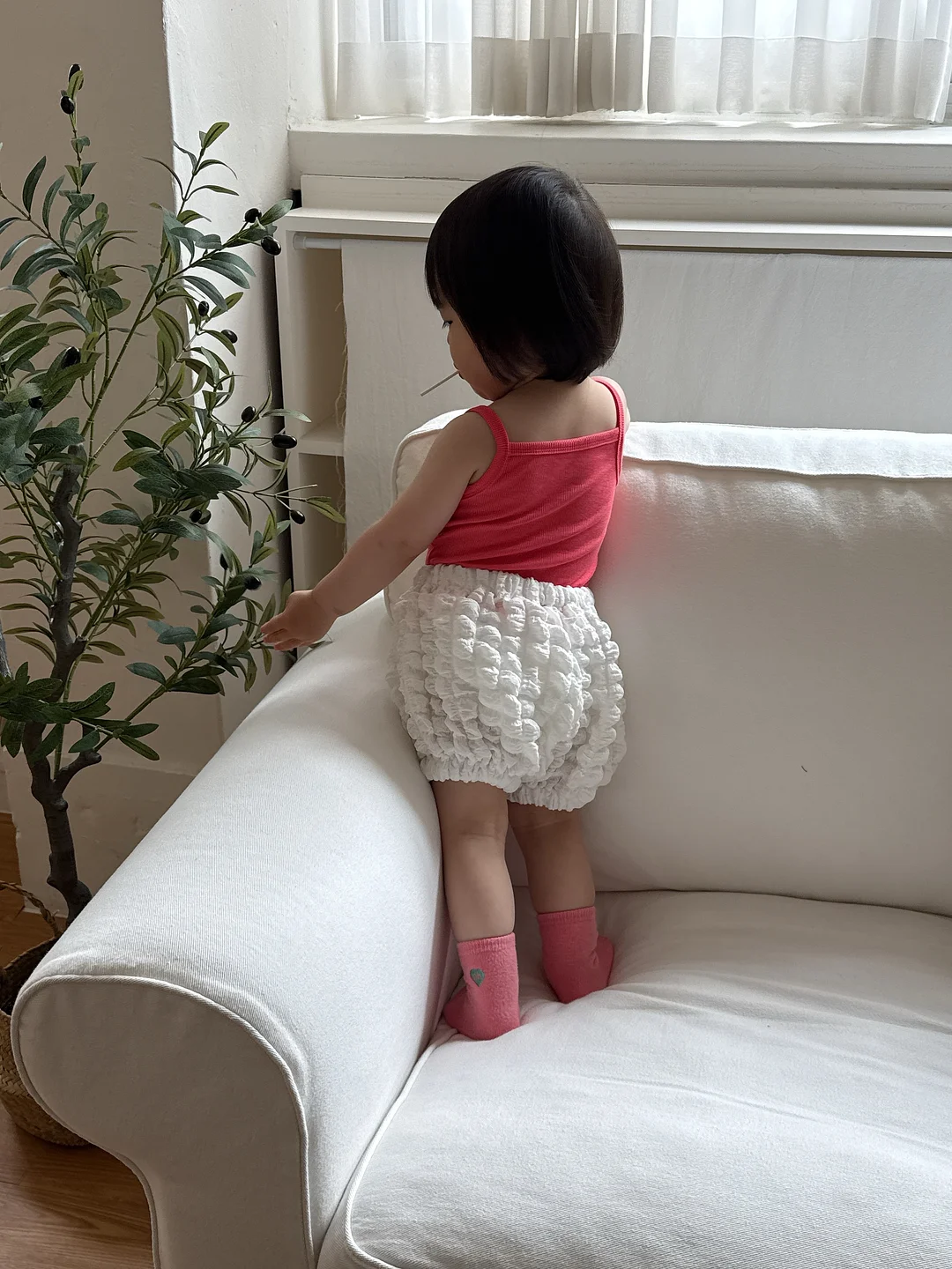 잭프루트 5