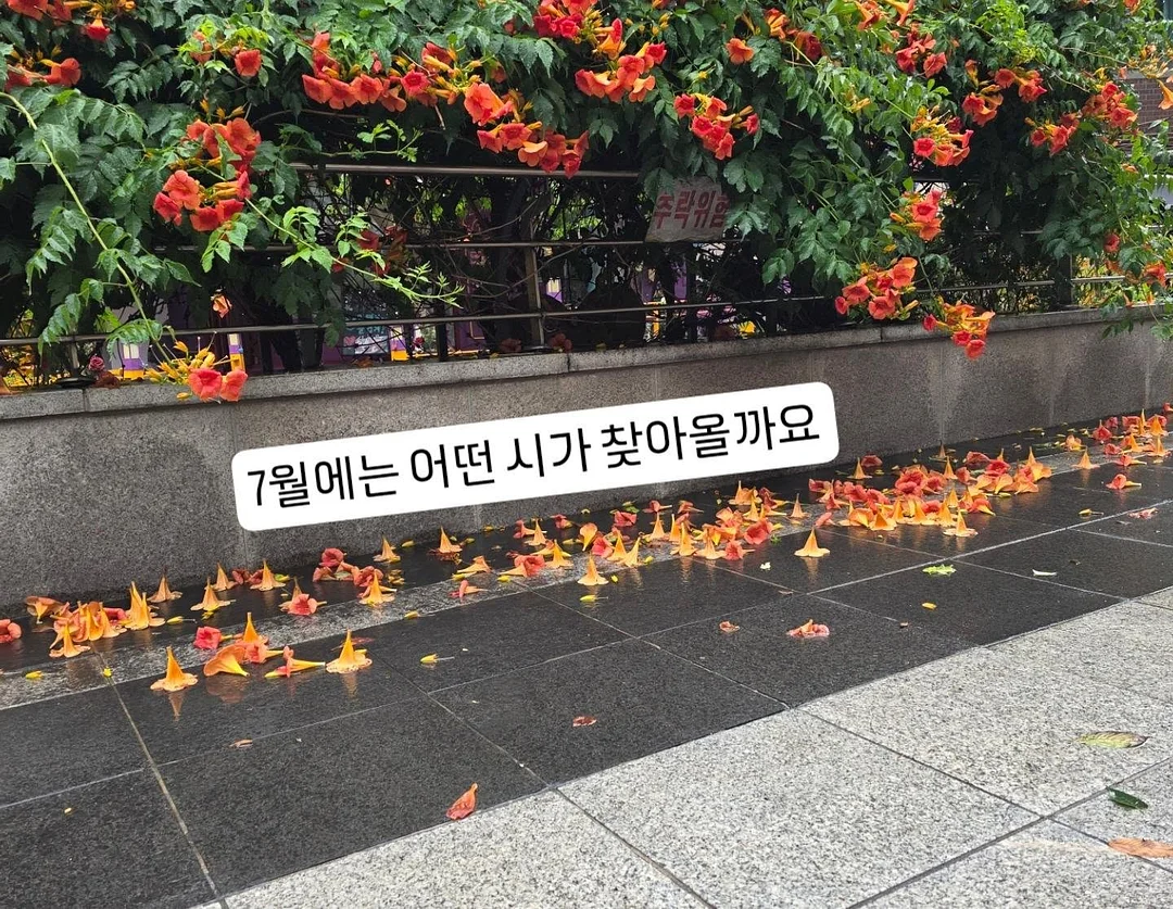 포켓몬 캠핑카 키링 4종 8