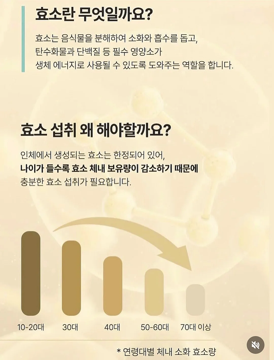 나이트 립케어 13