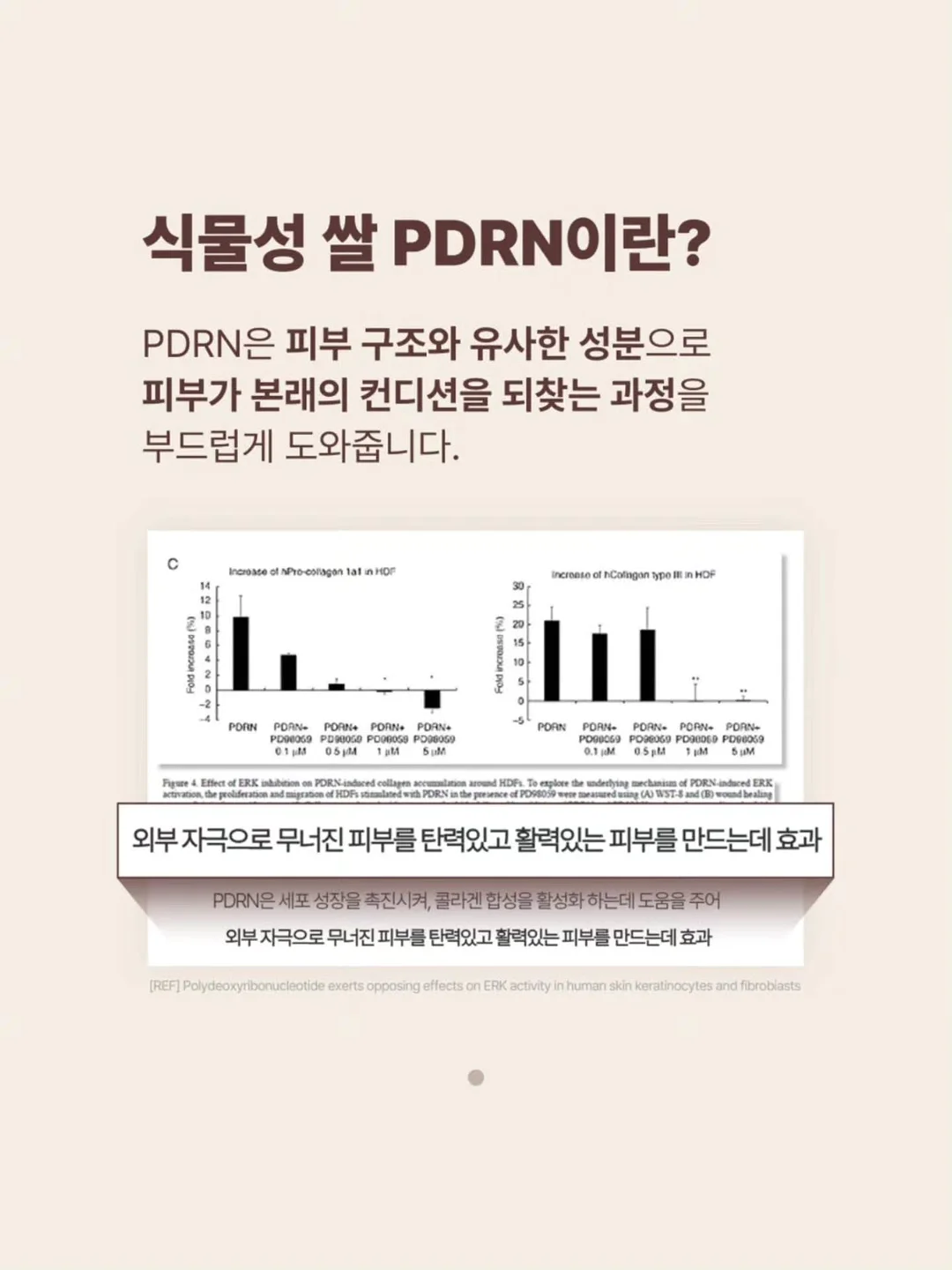 저녁 노을 보랏빛 프리셋 10