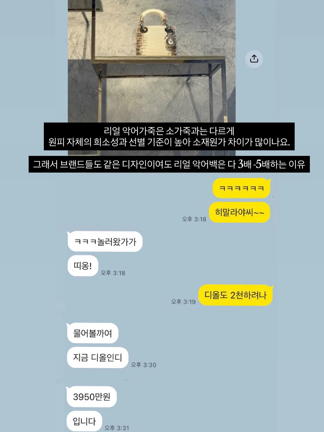 프랑프랑 백조 국자 4