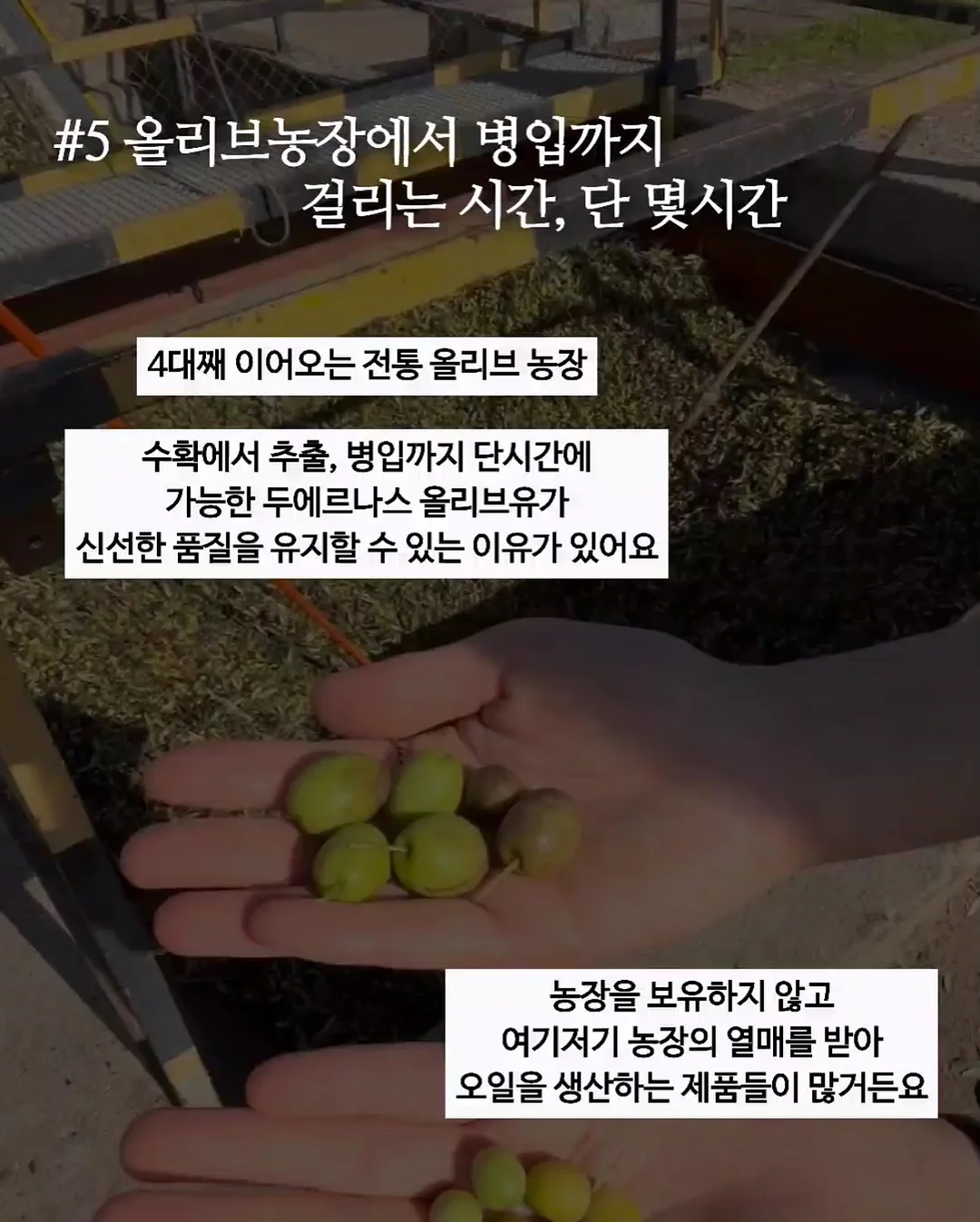 플로팅 해먹 10