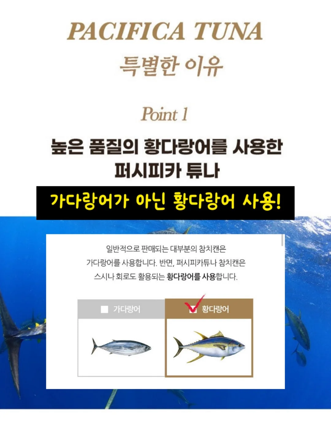 카피봇 만들기 무료특강 12