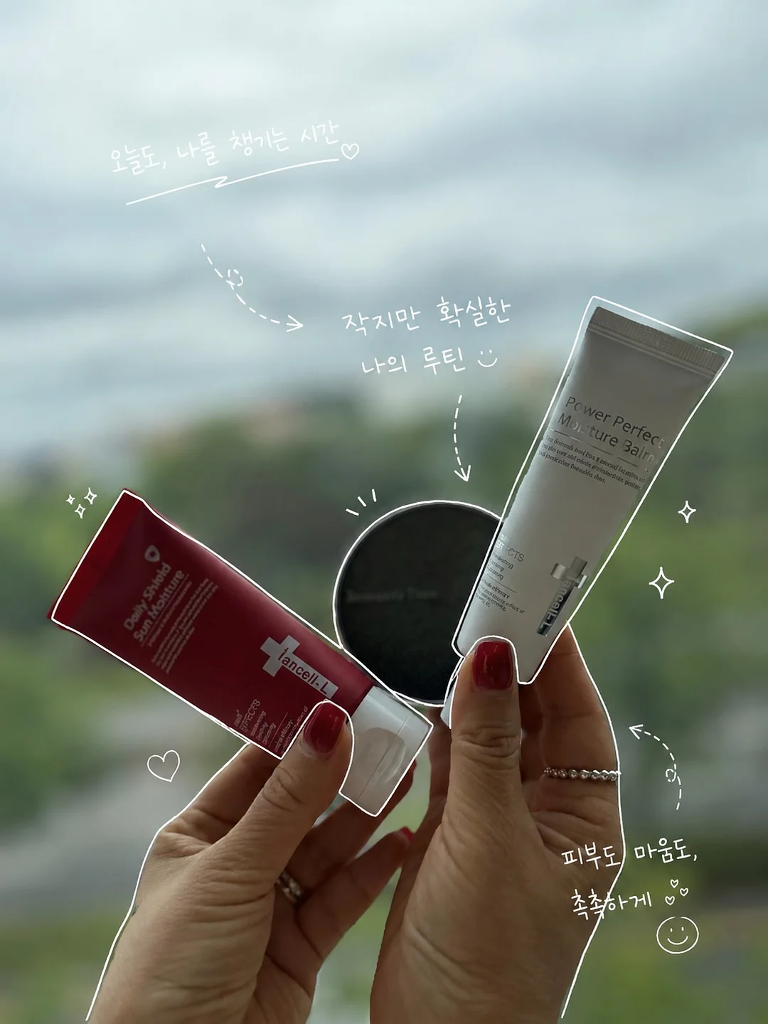 카네이션 화분포트 2
