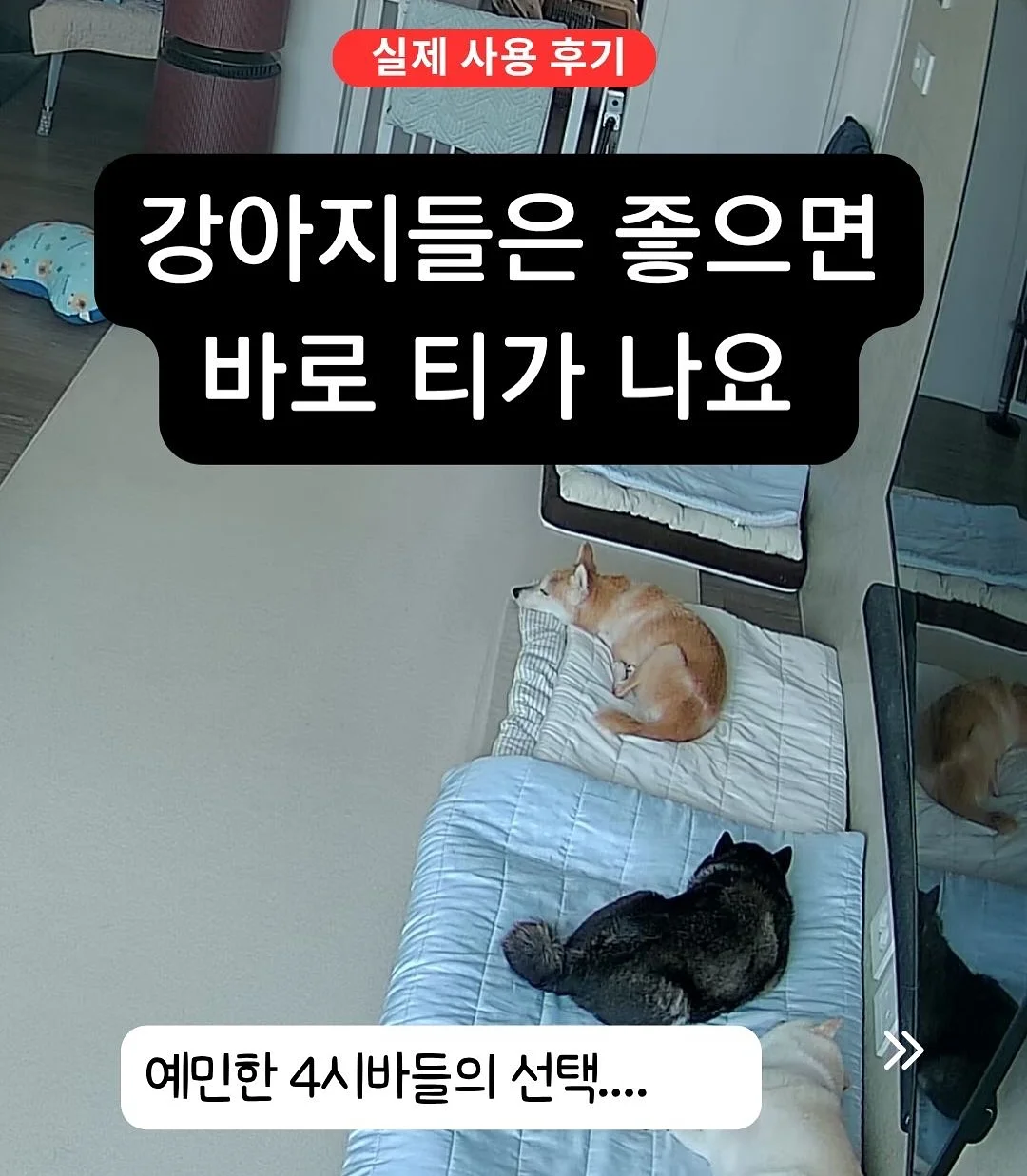 전통 장신구 1