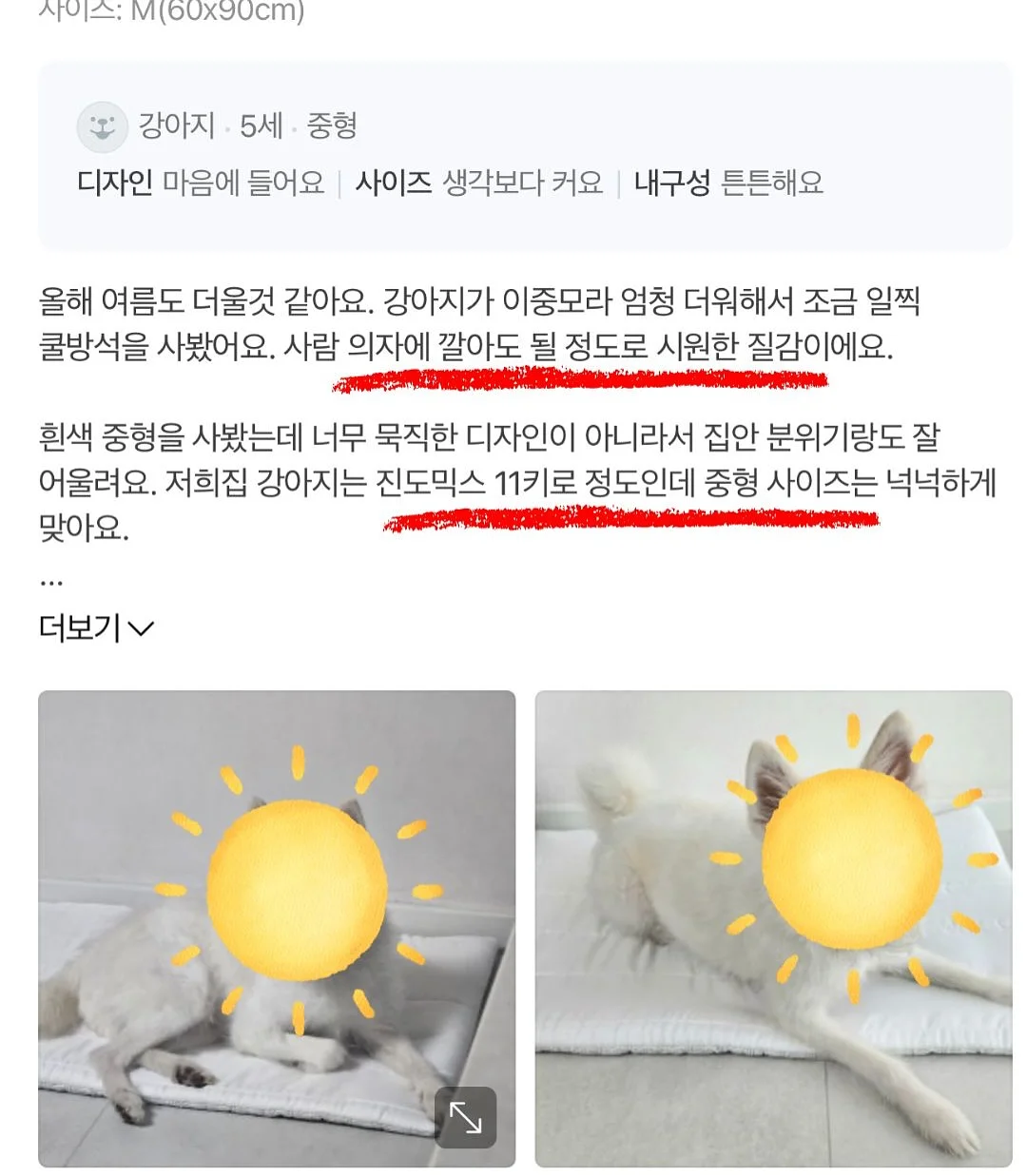 전통 장신구 12