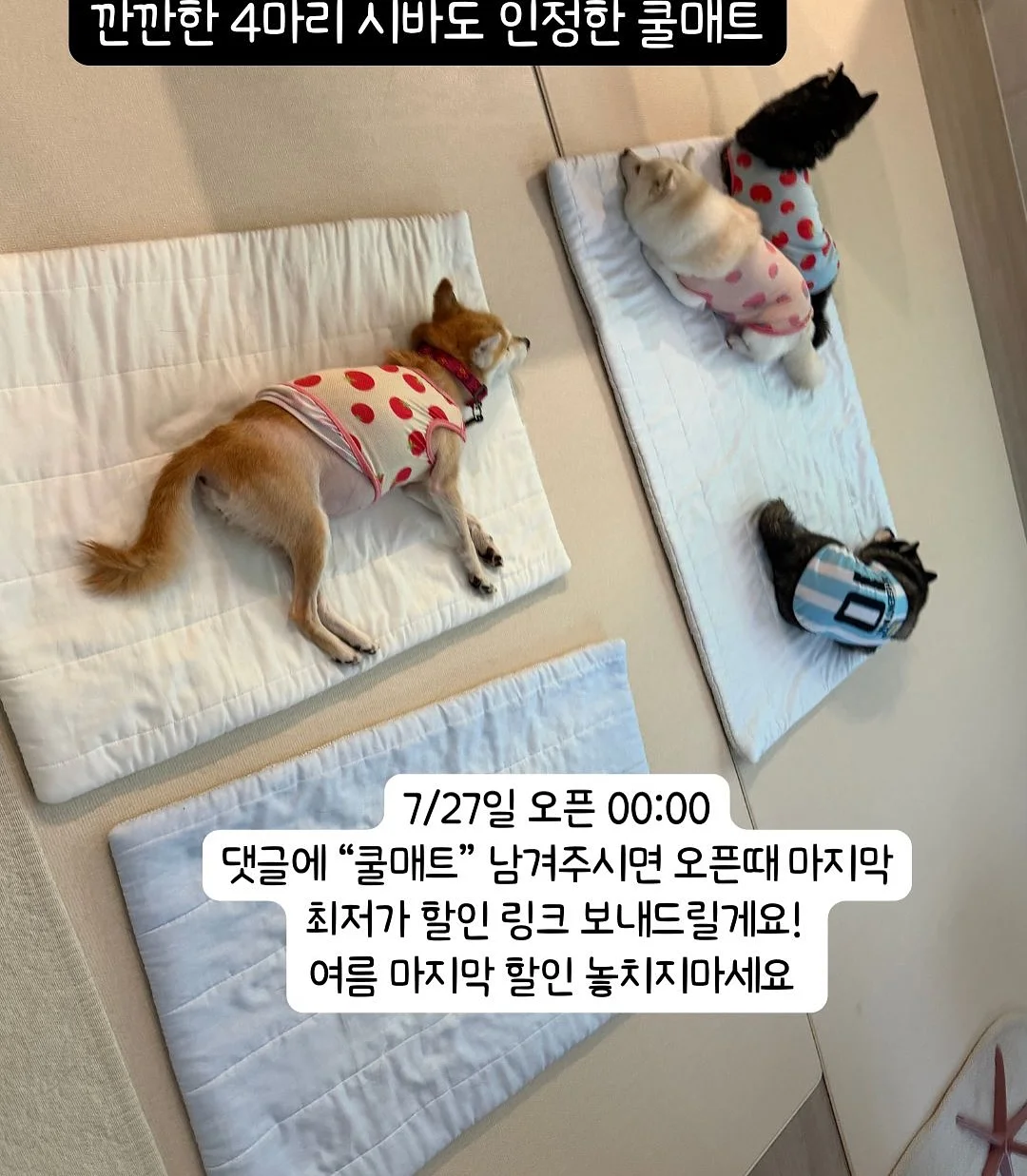 전통 장신구 16