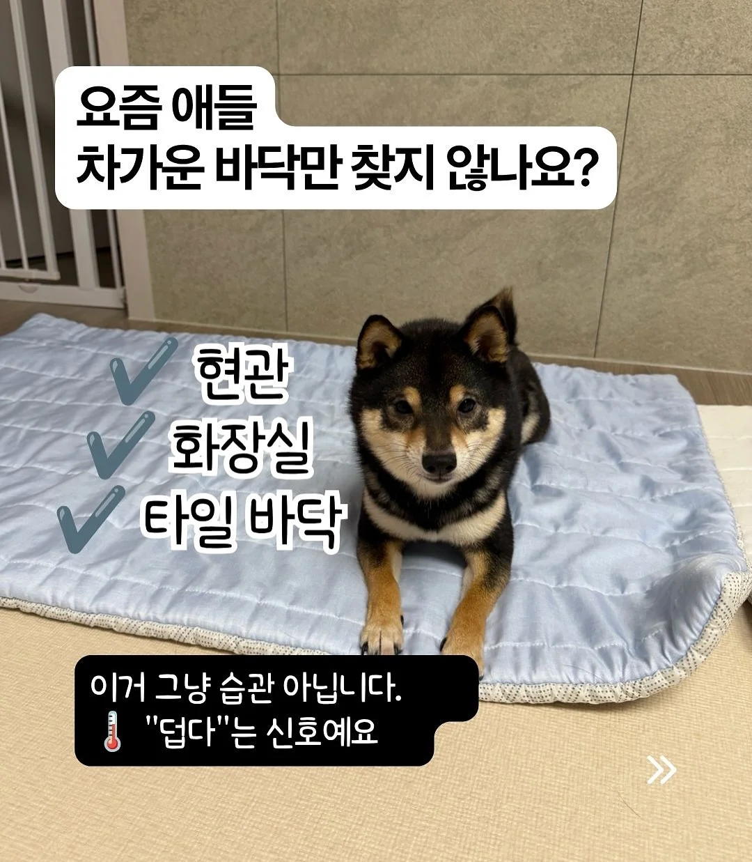 전통 장신구 2