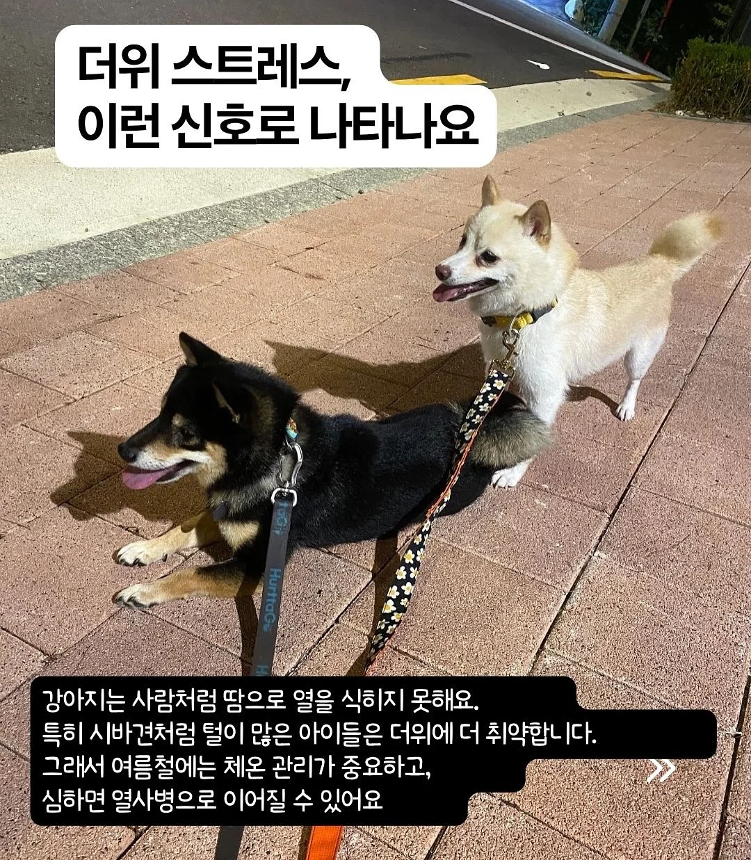 전통 장신구 3