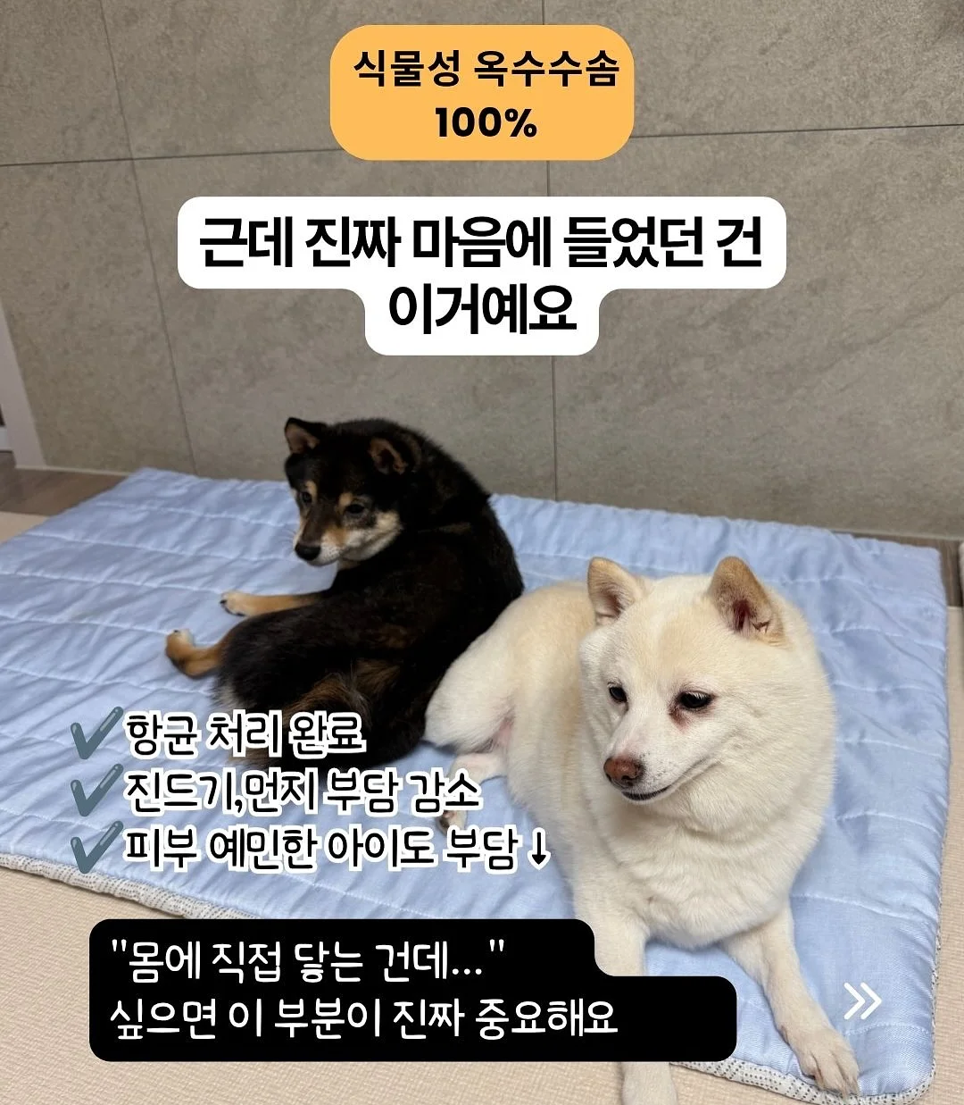 전통 장신구 6