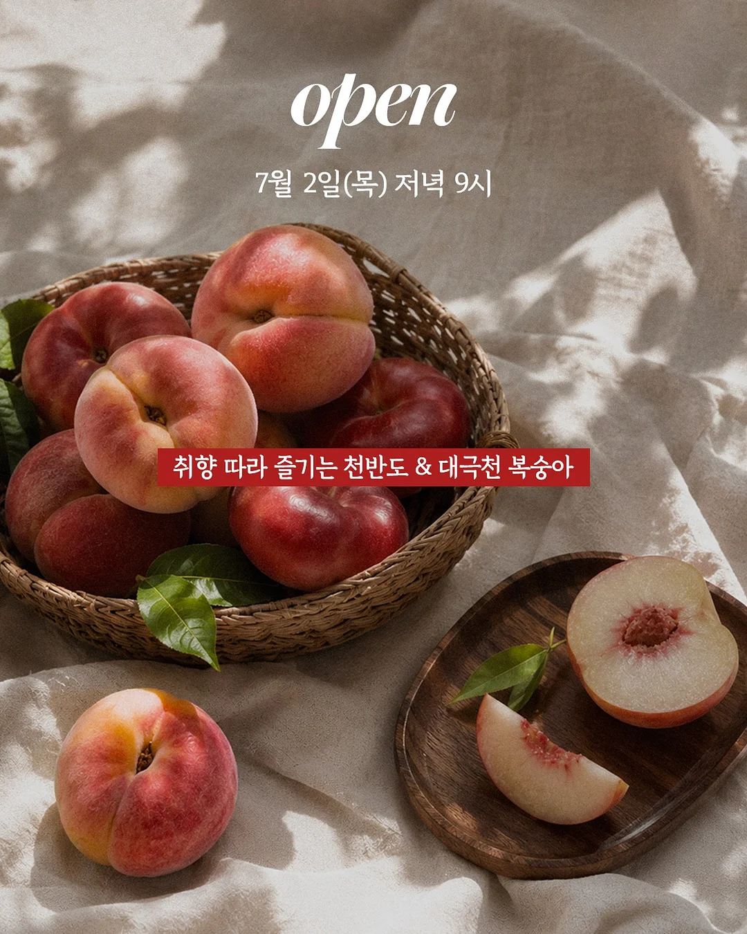 과일탈수 바구니