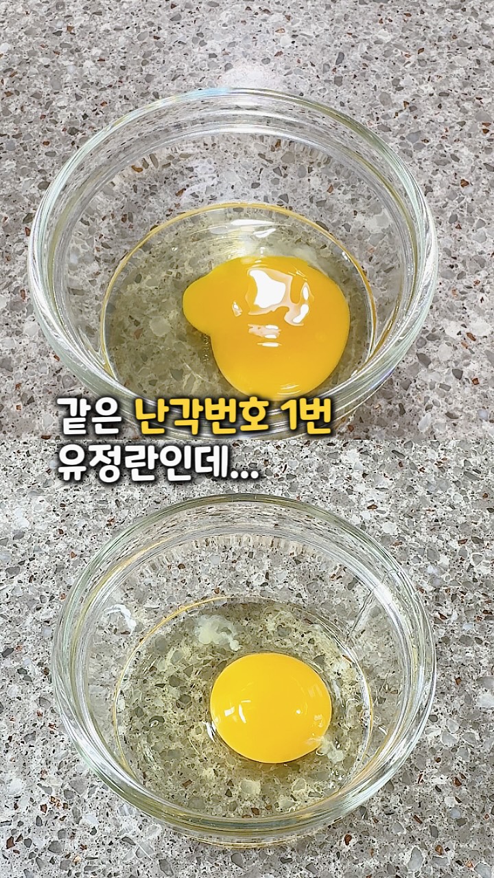 슬로우비 우비
