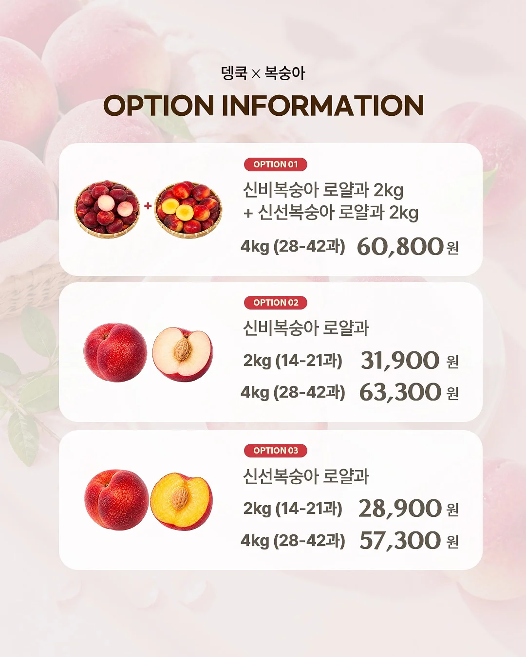 에이딘에이블 레전드 블라우스 TOP 10 15