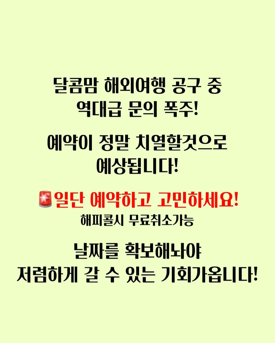 양배추 스테이크 11