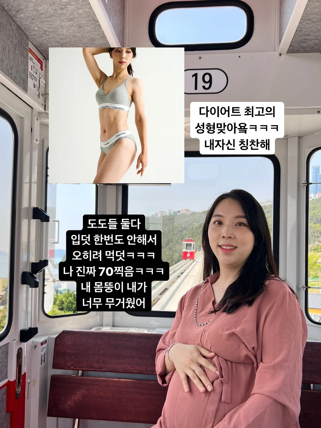 캘리포니아 체리 3