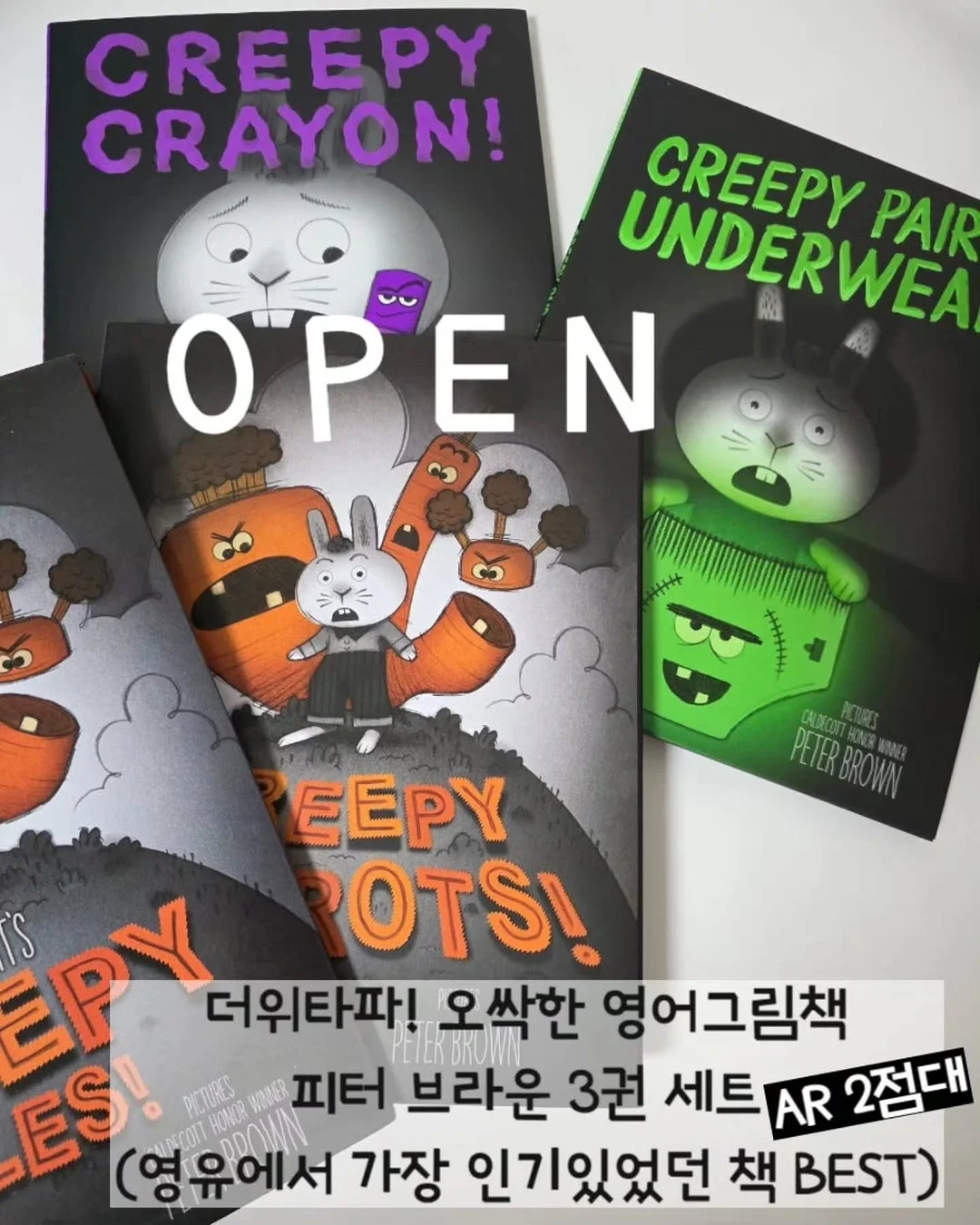 유칼립투스 폴리안 1