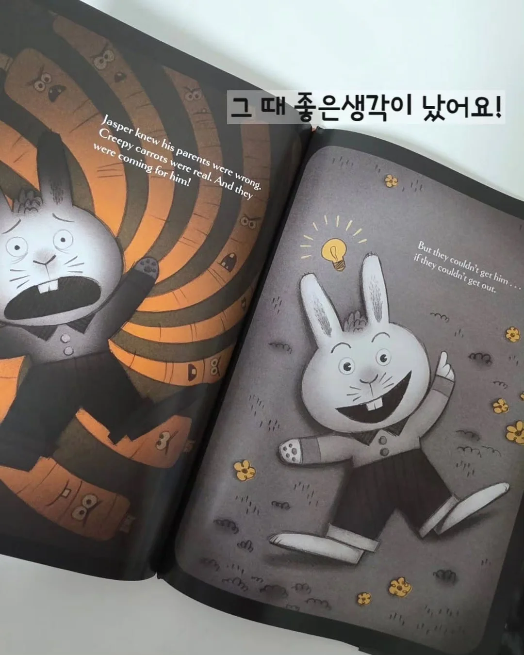 유칼립투스 폴리안 11