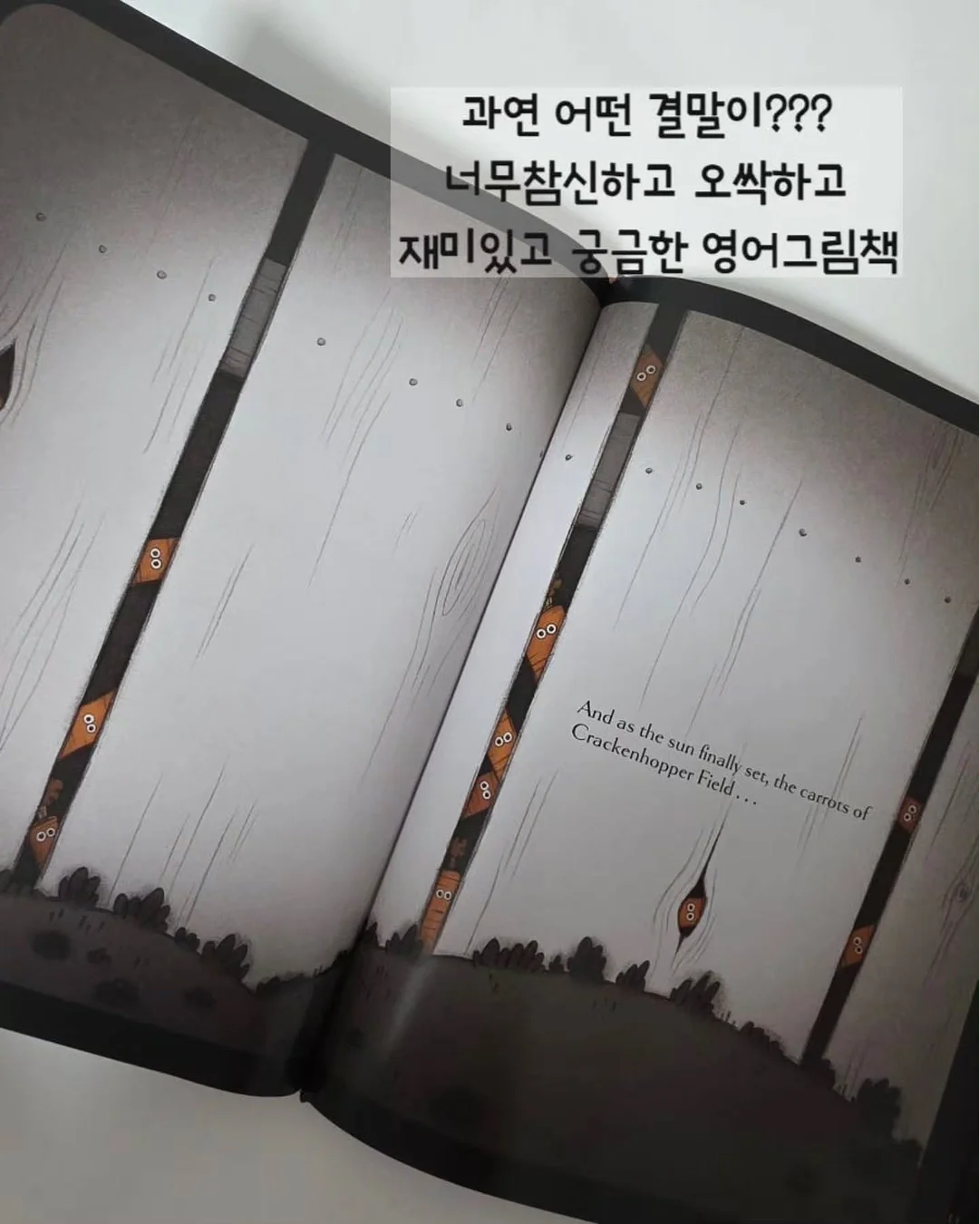 유칼립투스 폴리안 12