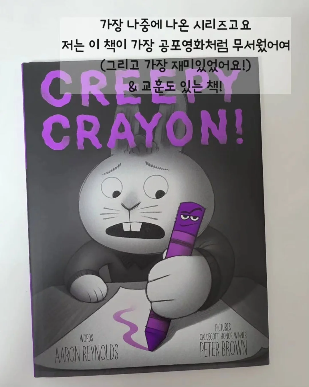 유칼립투스 폴리안 13