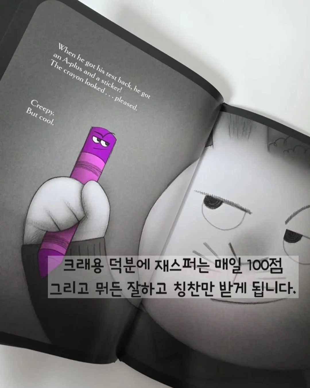 유칼립투스 폴리안 16