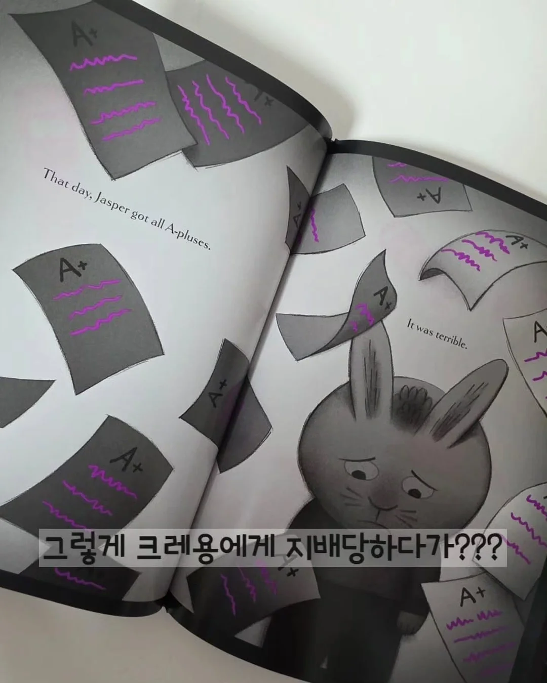 유칼립투스 폴리안 18
