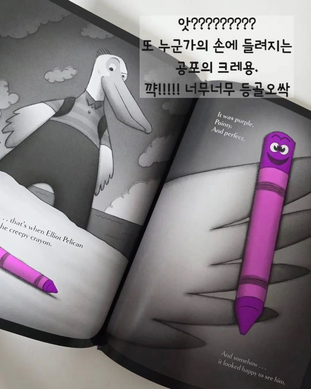 유칼립투스 폴리안 20