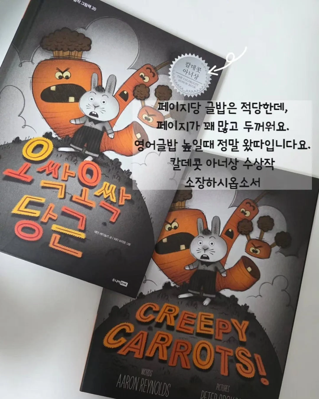 유칼립투스 폴리안 8