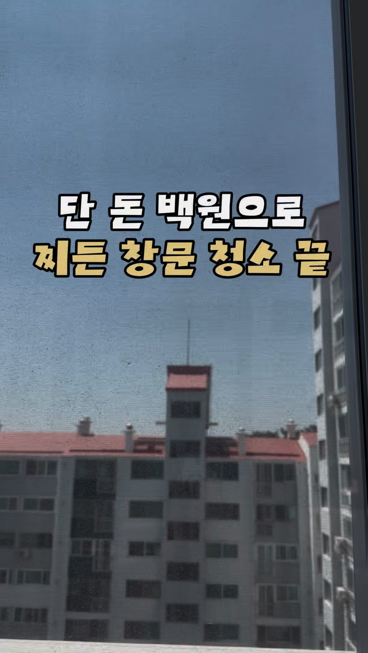 디마르 모공앰플