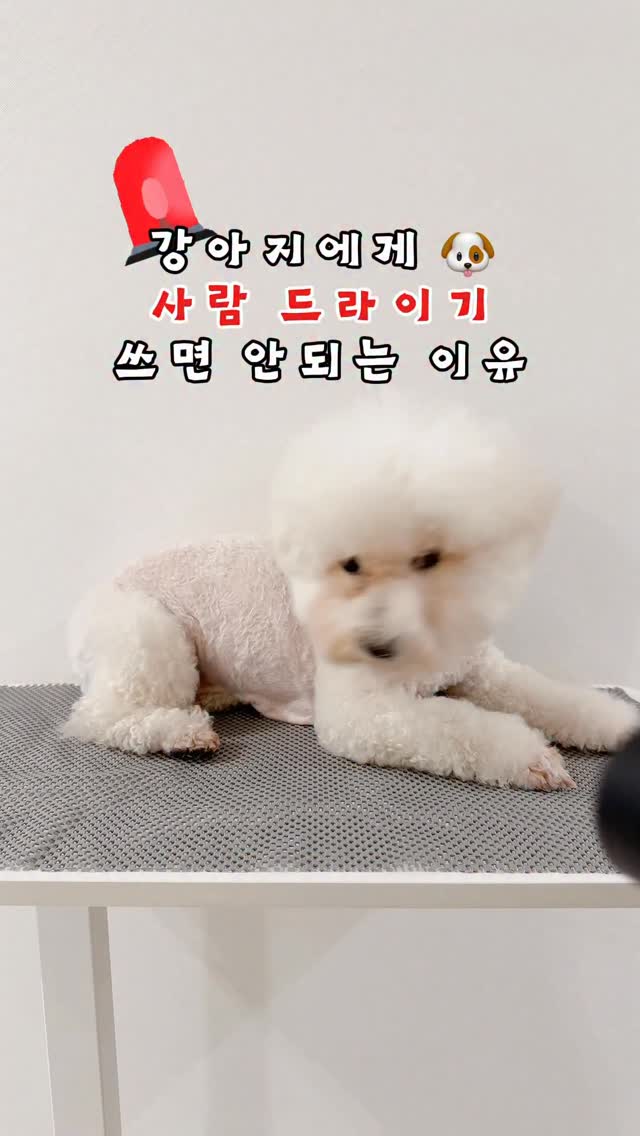 바다 앞 감성숙소