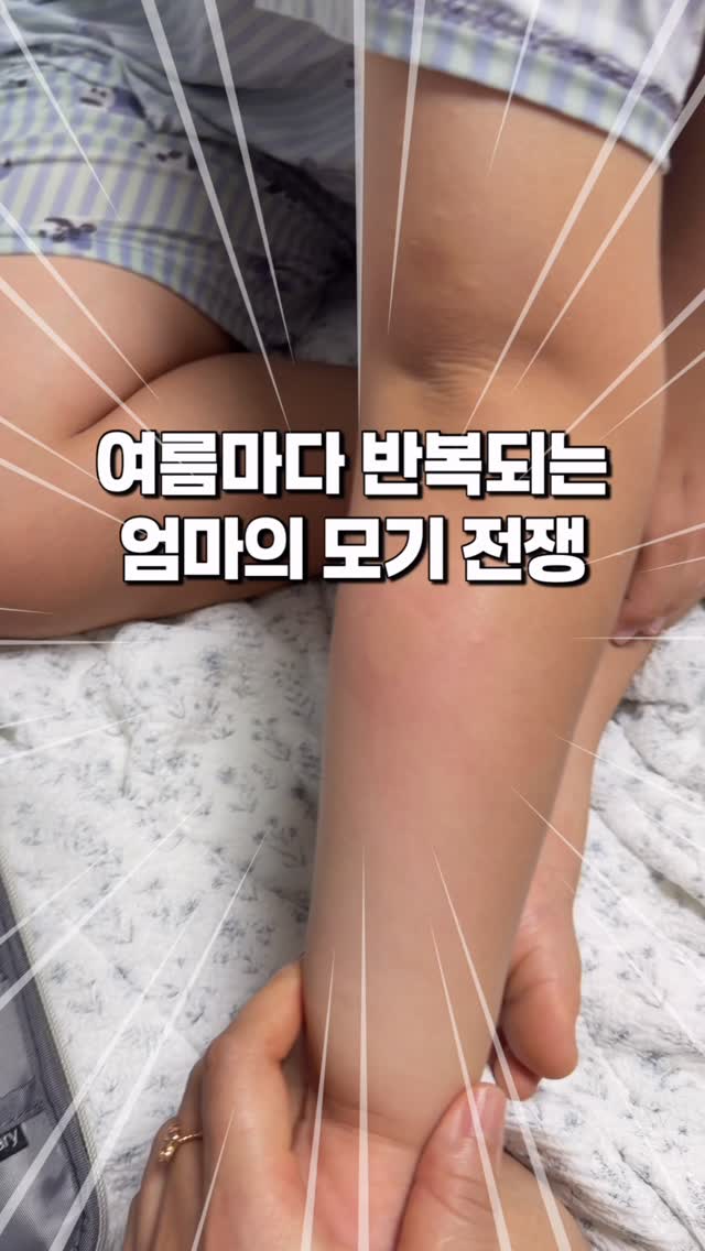 목수국 플라워박스