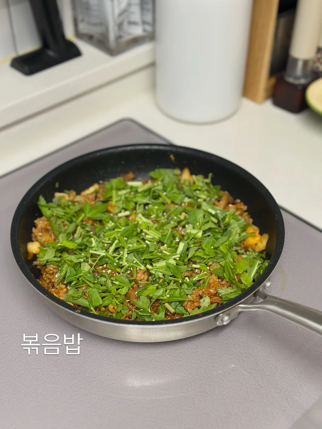 버뮤다 14