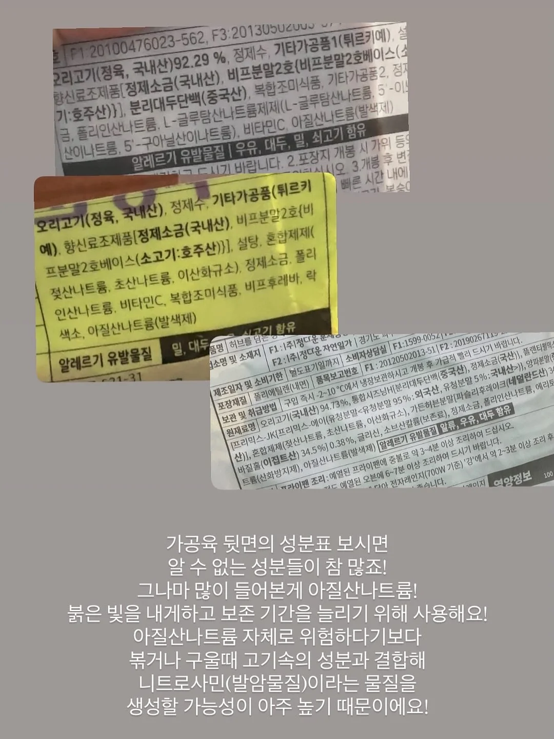 버뮤다 5