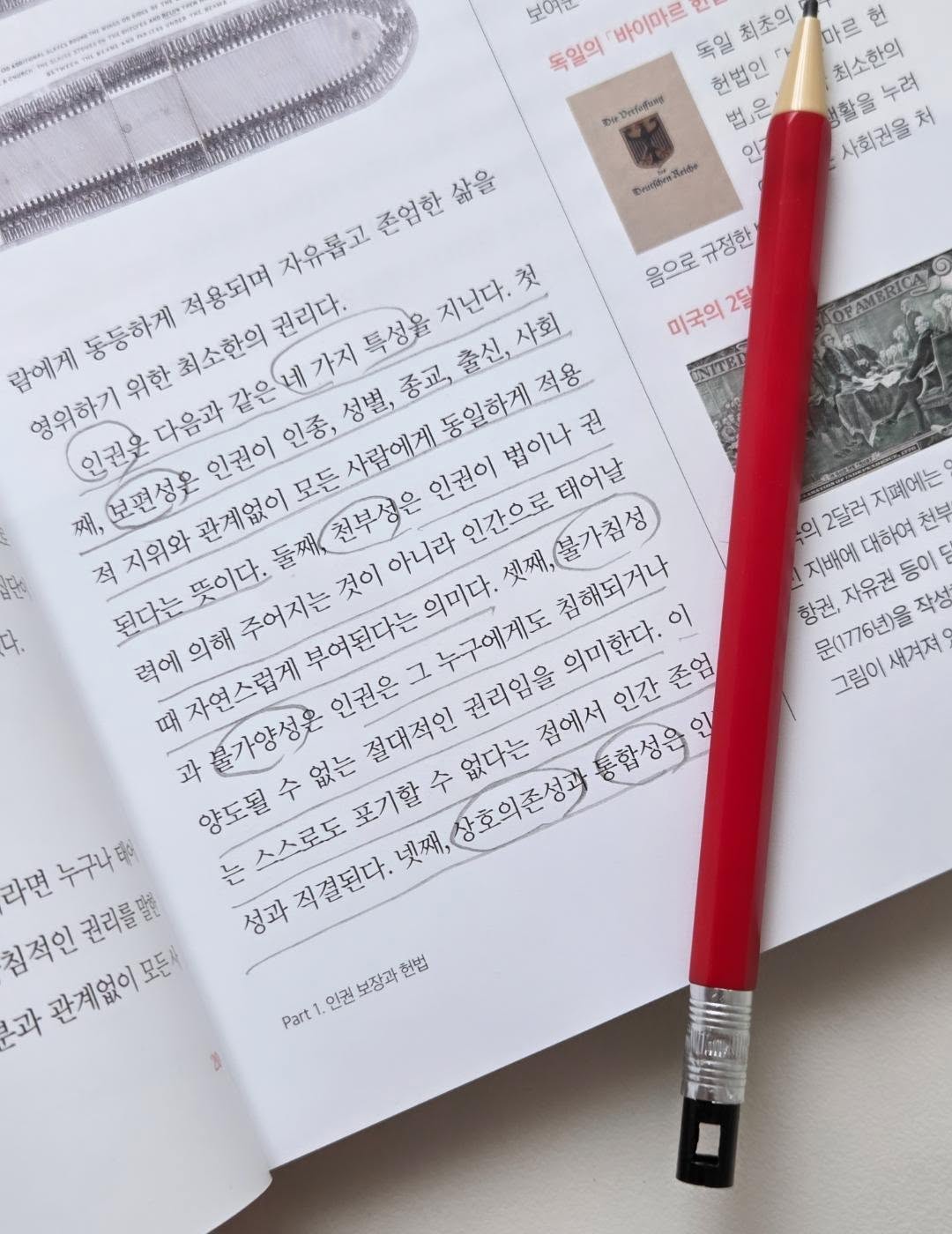 어깨 시술 정보 5