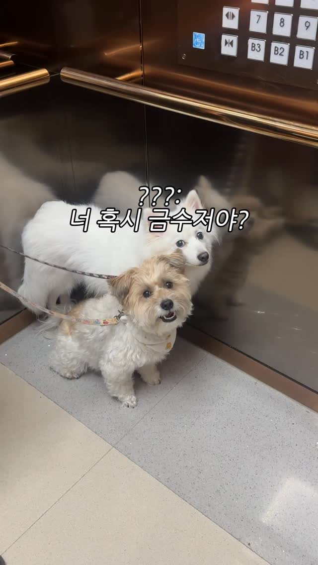왁싱 네일 패디 속눈썹
