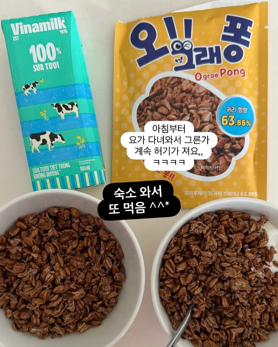 고구메스 6