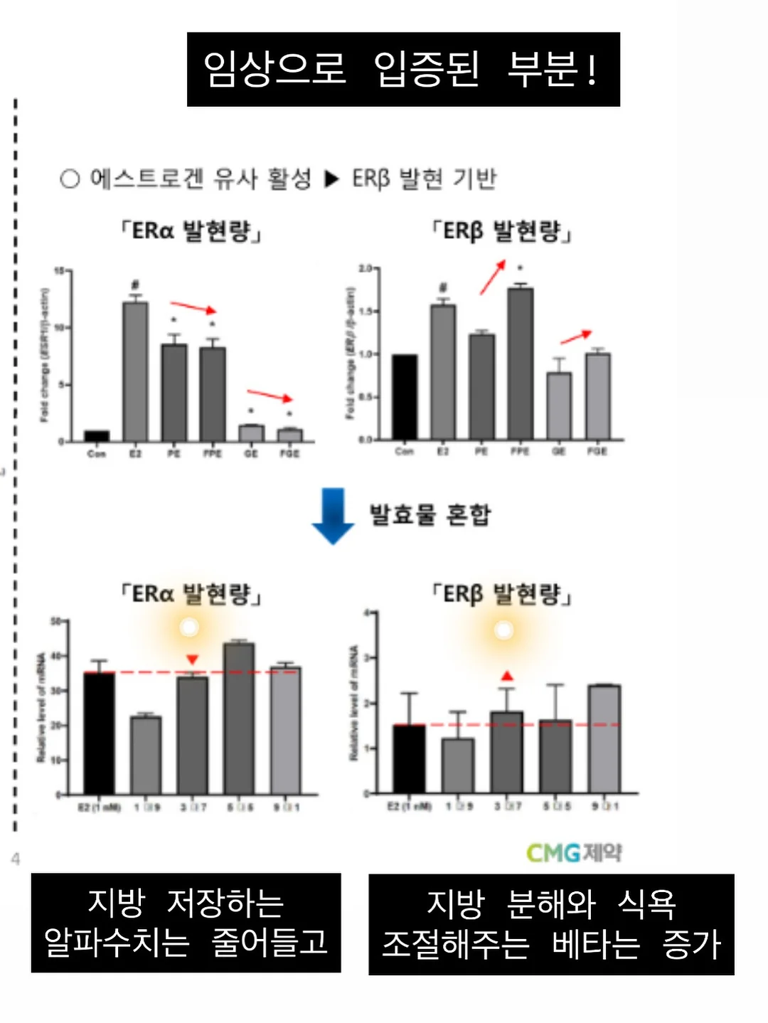일회용 넥셀 12