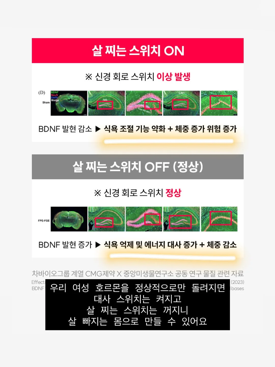 일회용 넥셀 8