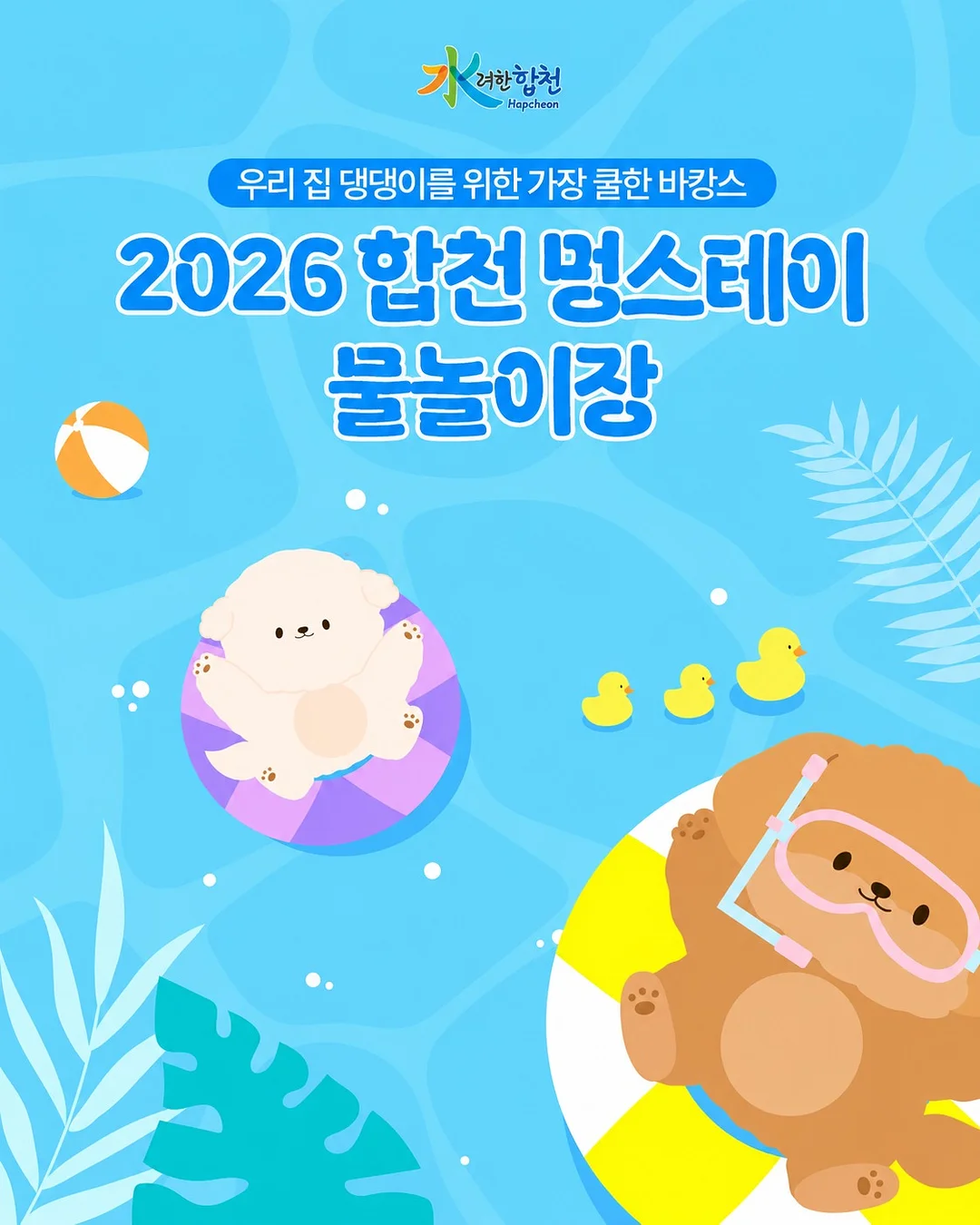 차량 창문 필름 1