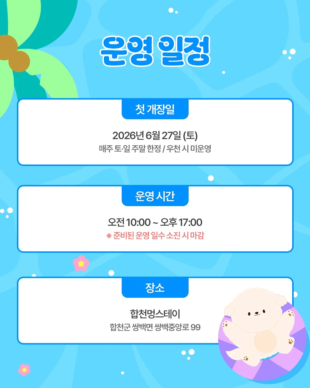차량 창문 필름 2