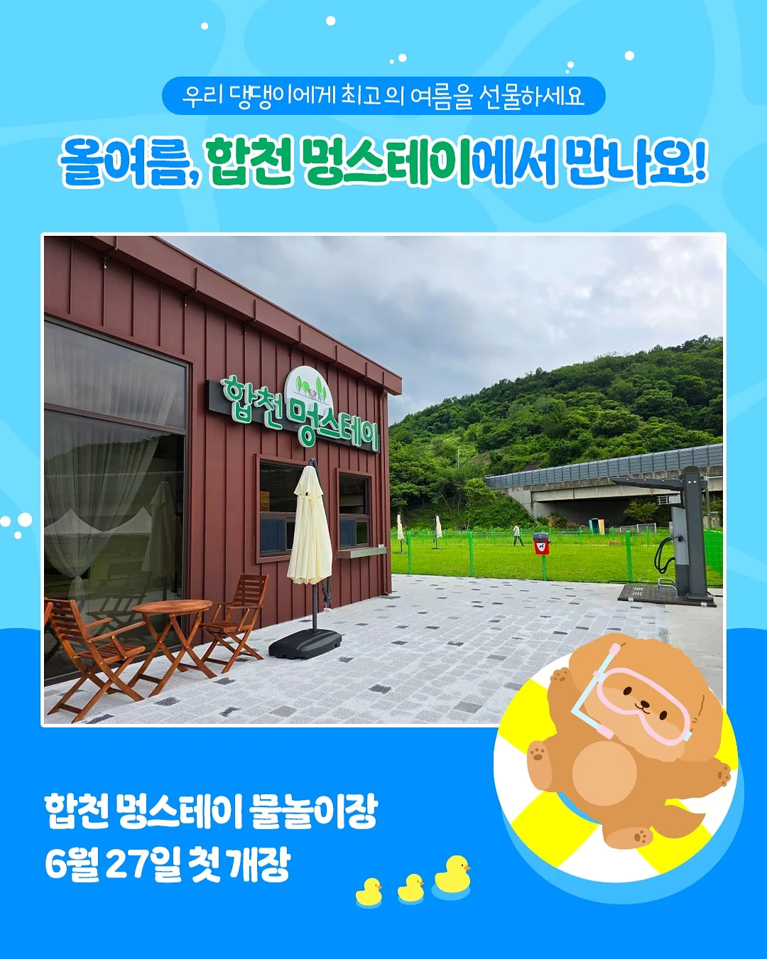 차량 창문 필름 4