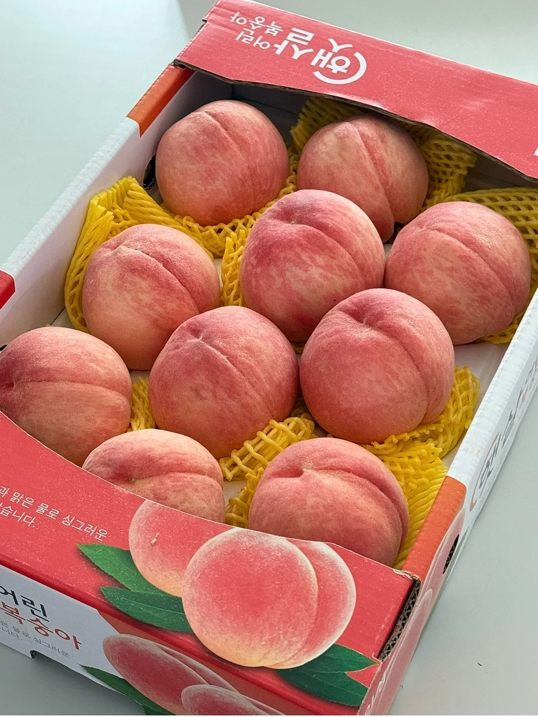 올인원 거울 행거 5