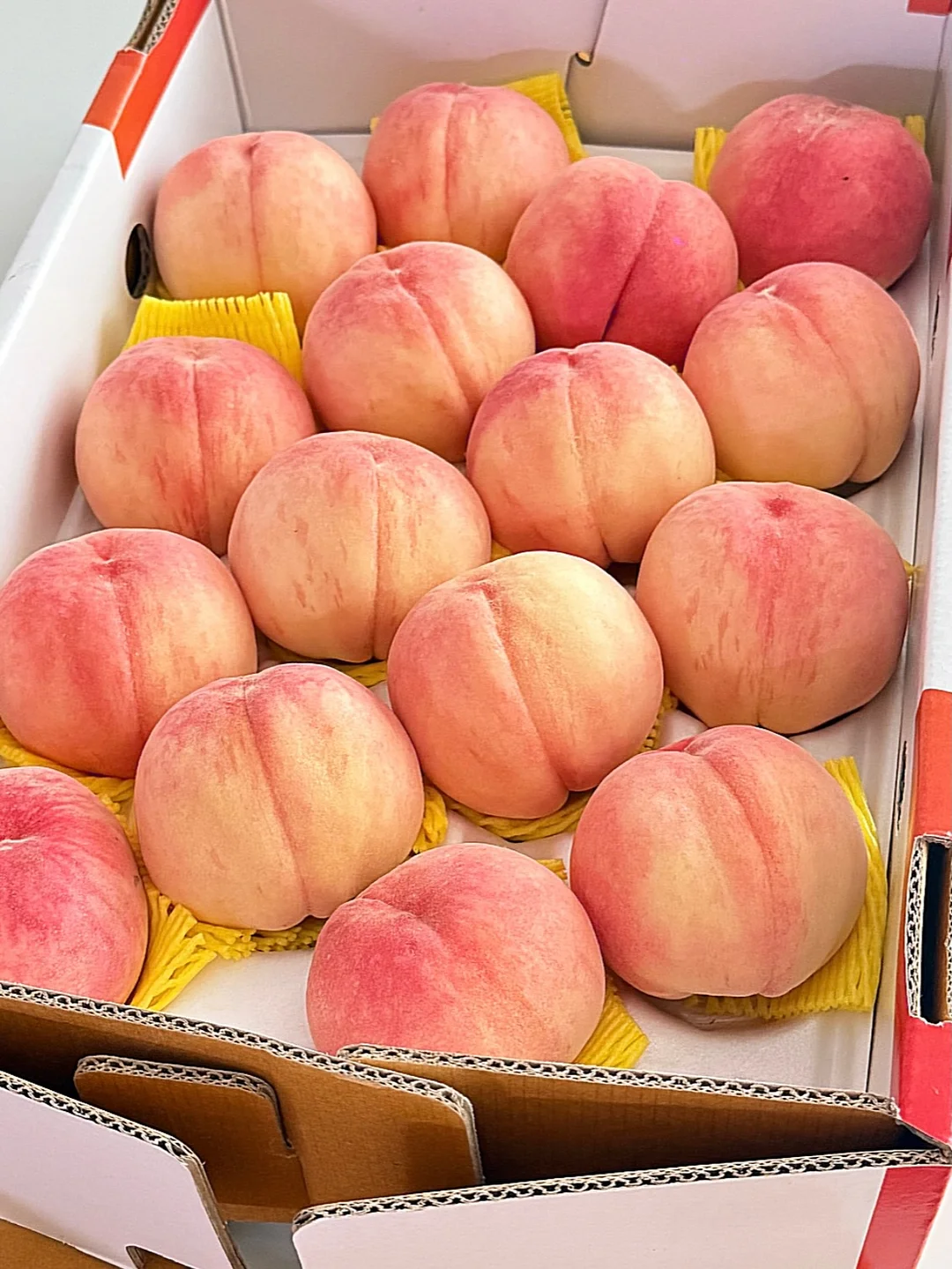 올인원 거울 행거 7