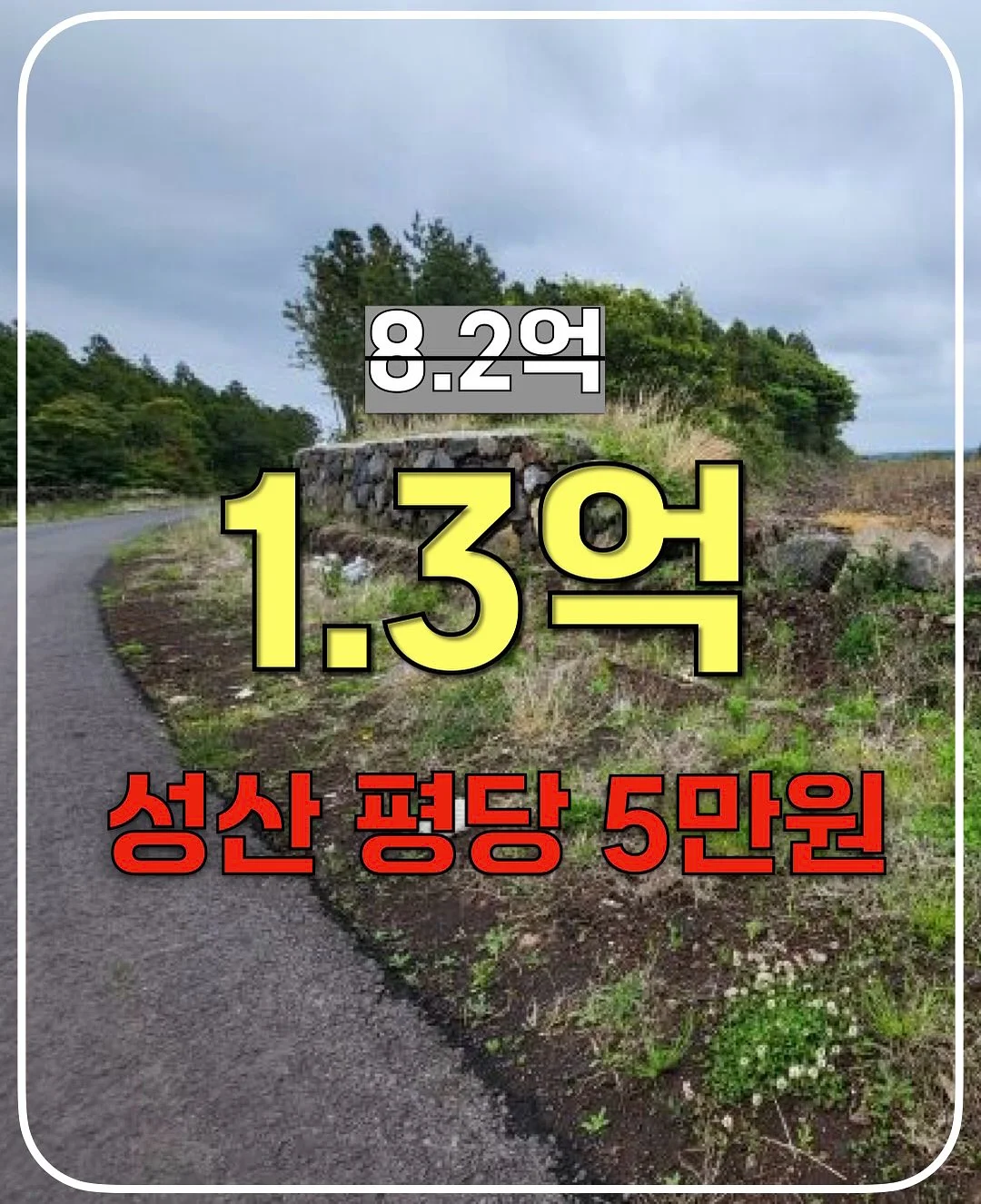 제제래빗 여름신상 고쟁이 1