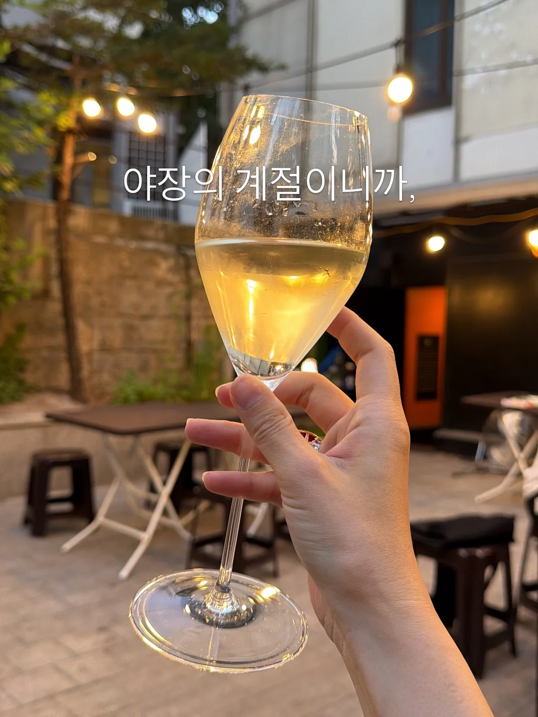 데님 9