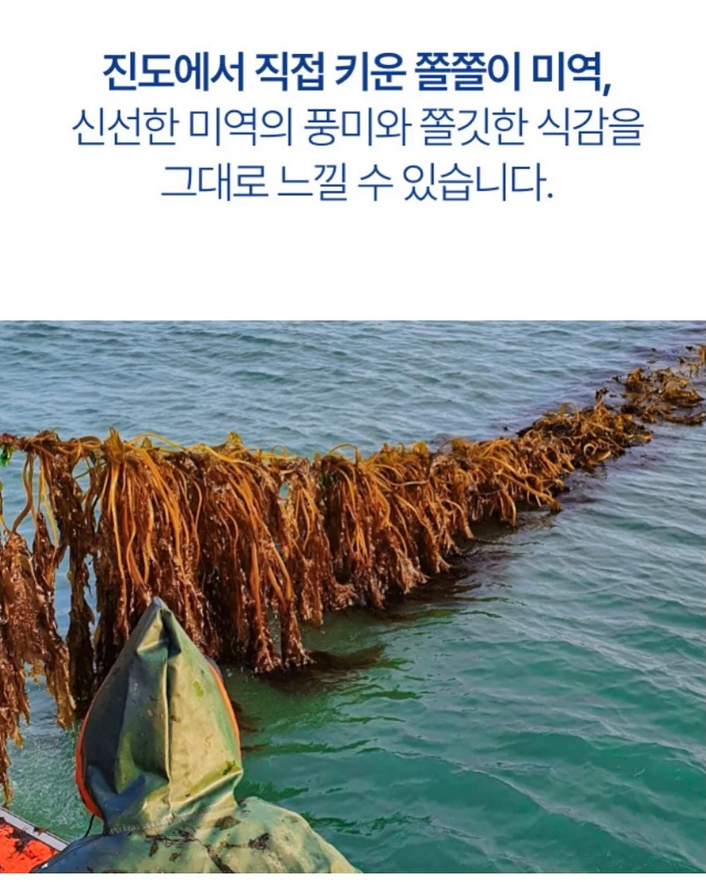 돌촬영 5