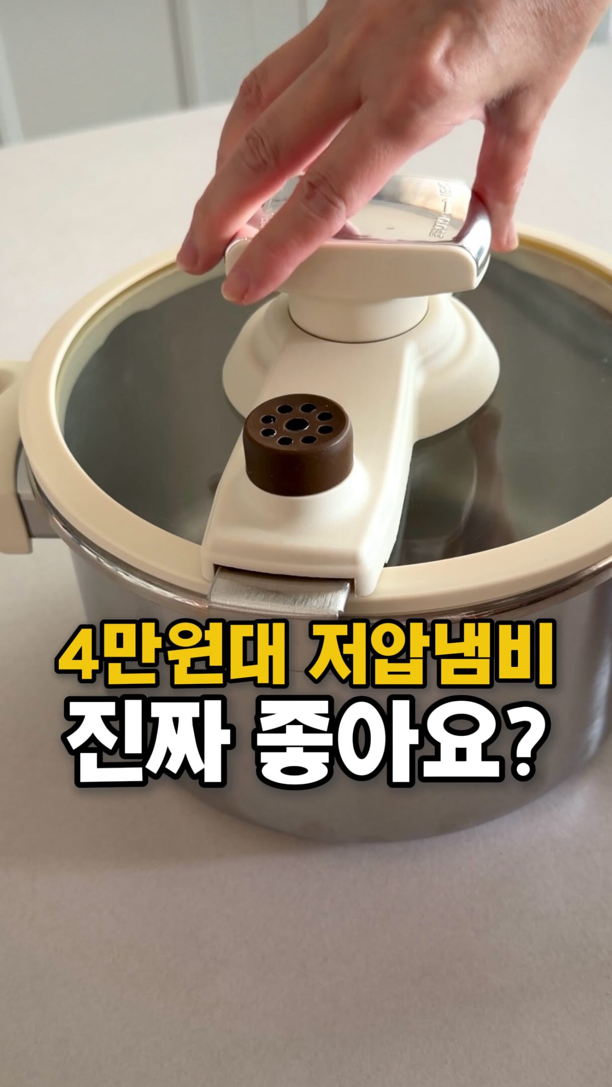 일회용 테이블보