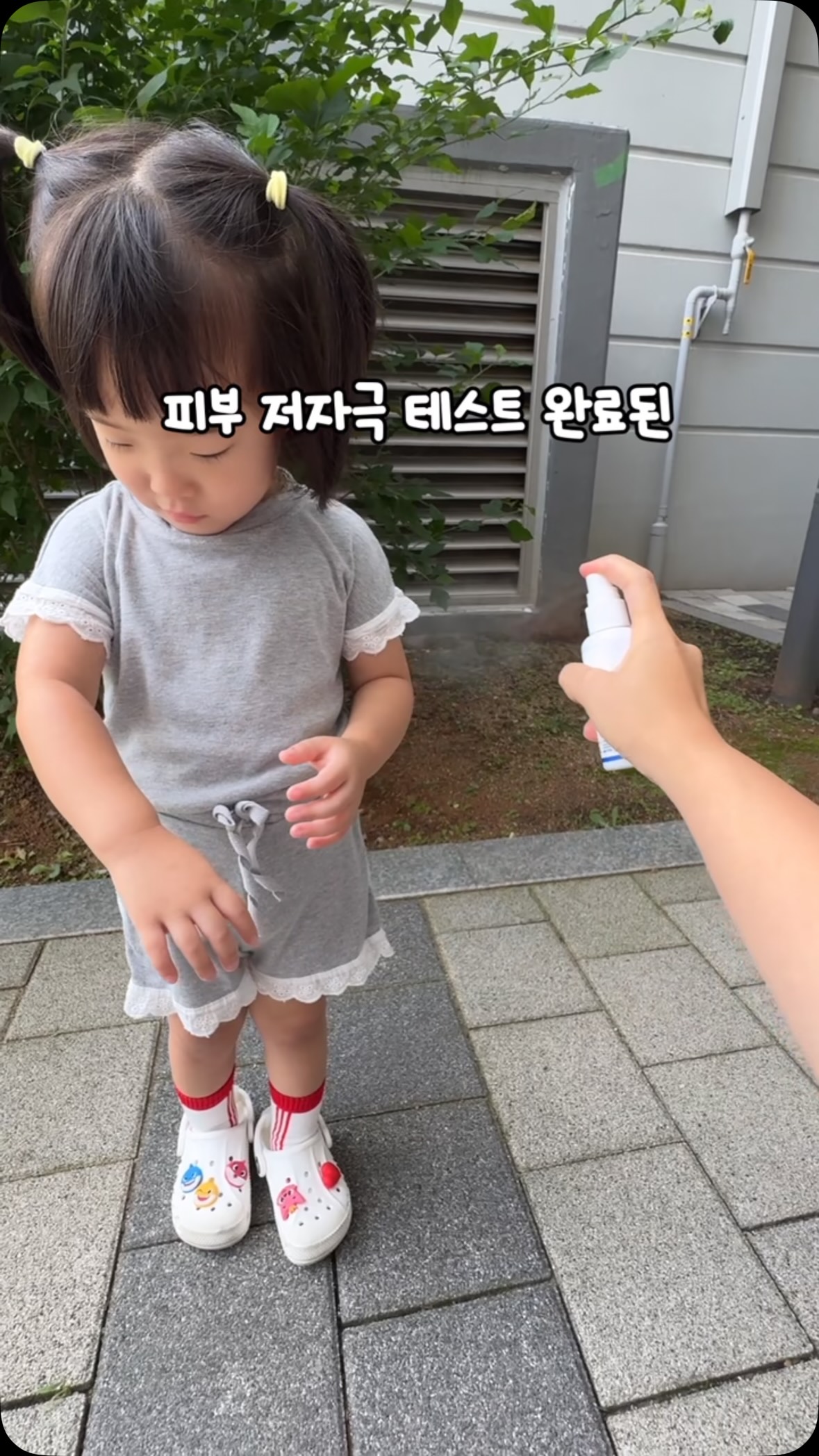 순둥 스트랩 체크순둥